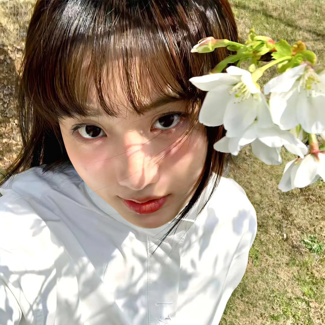 少女法哈